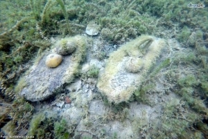 Macedonia Nurkowo22
