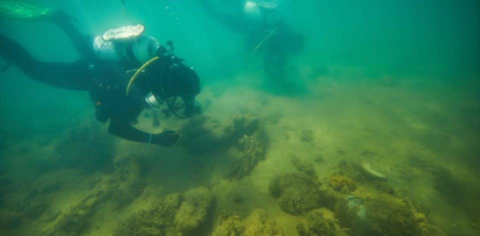 Badania archeologiczne Australia divers24.pl