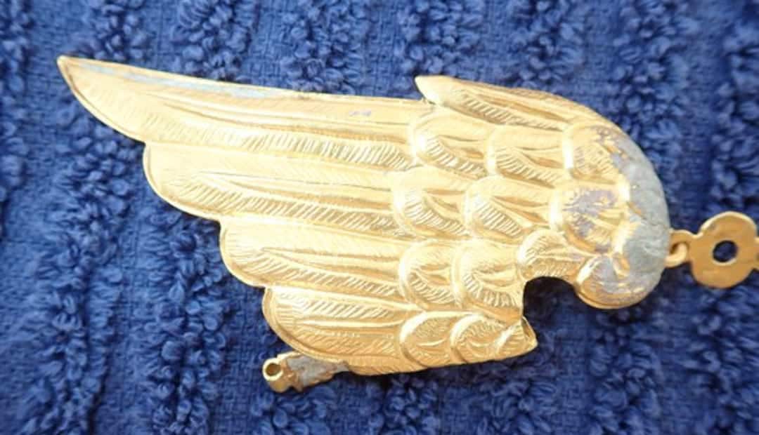 Skrzydło złotego pelikana odnalezione na Florydzie 1715fleetsociety divers24.pl