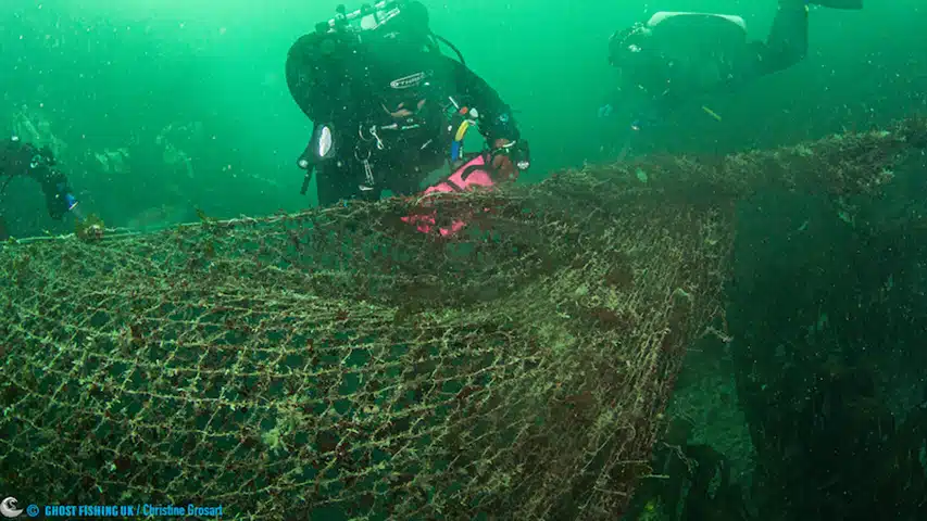 Gigantyczna sieć-widmo Hands Deep Plymouth divers24.pl