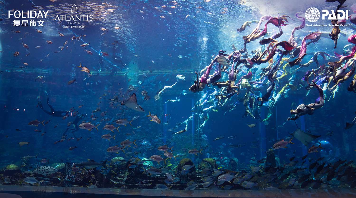 Pokaz PADI Mermaid Chiny