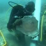 Archeolodzy podwodni wydobyli artefakty z dwóch wraków