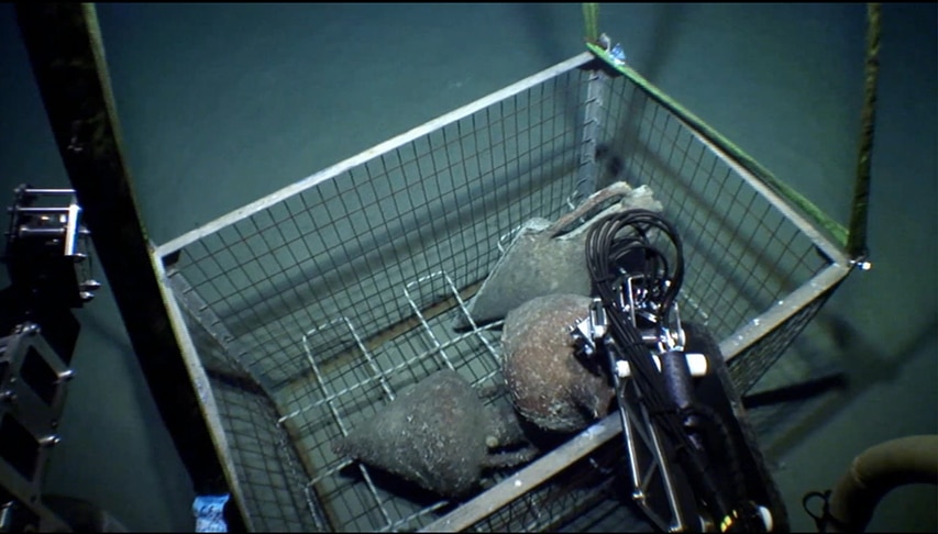 Robot ROV podejmuje amfory z wraku