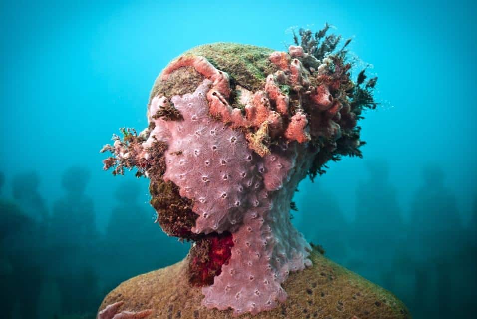 Rzeźba porośnięta koralowcami