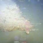 Obraz torpedy z kamer ROV