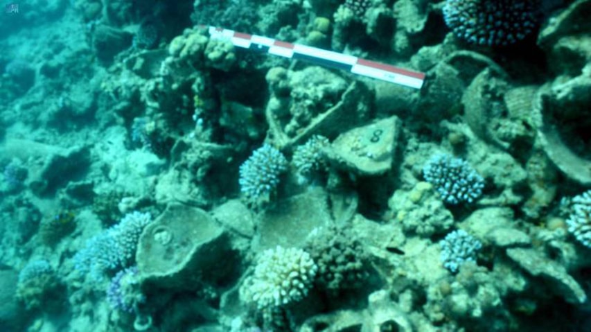 Artefakt odkryty na wraku w Morzu Czerwonym