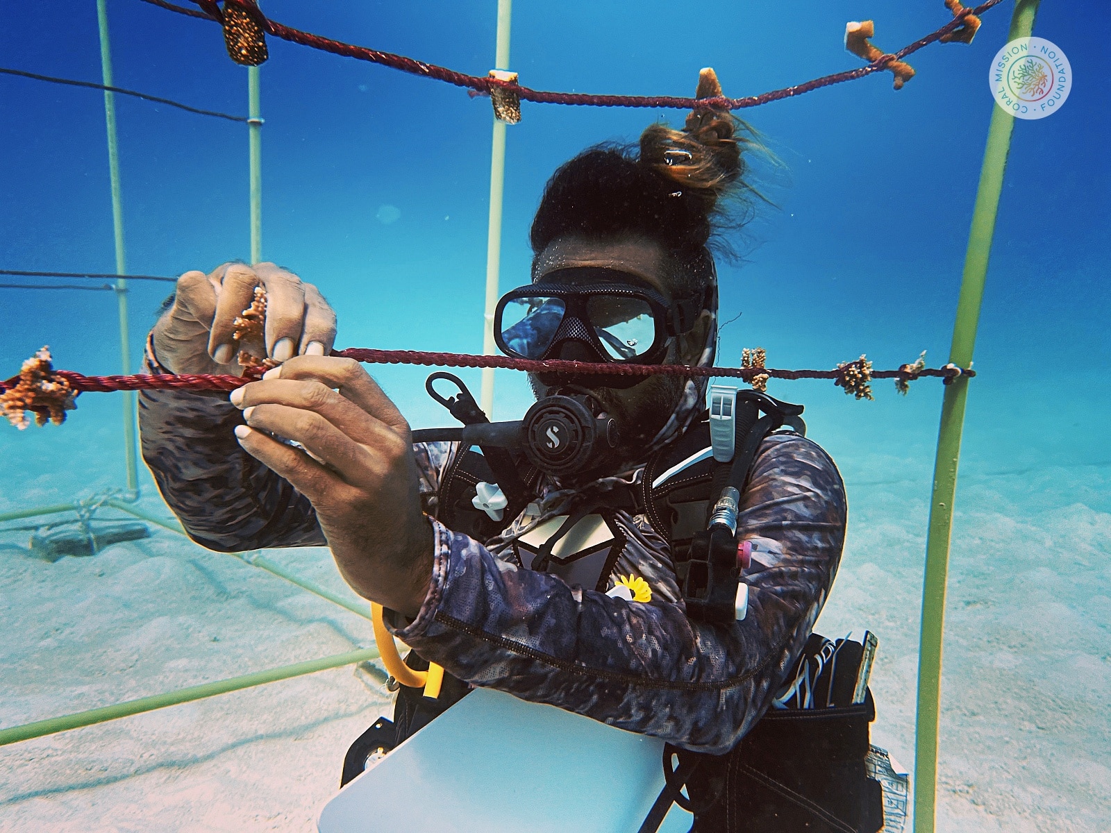 nurek z Coral Mission Foundation