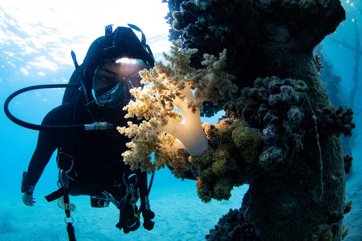 Dodatkowe oświetlenie Ocean Reef Vesper