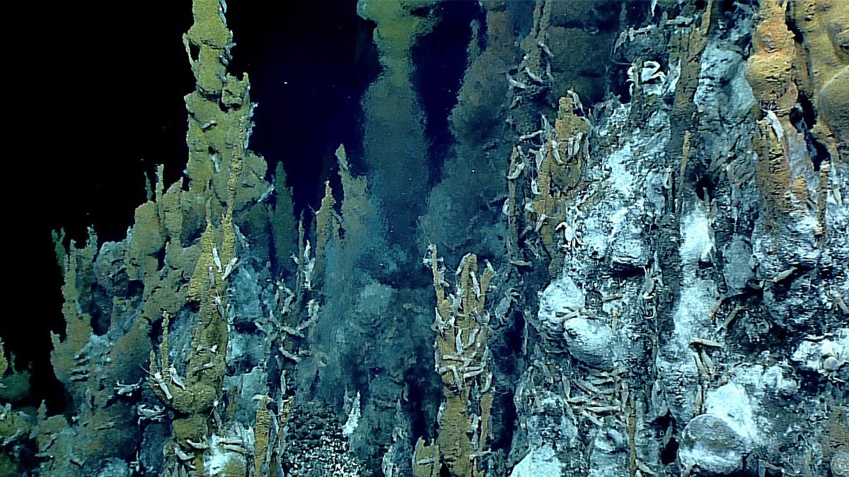 Kominy hydrotermalne na dnie Atlantyku