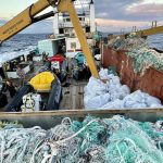 44 tony śmieci usunięte na Hawajach