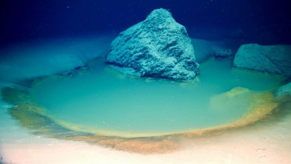 Głębinowe baseny solankowe w Zatoce Akaba