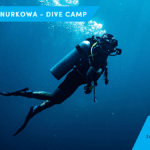 Dive Camp YS 3